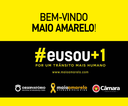 Neste mês de maio acontece em todo país a campanha Maio Amarelo. 